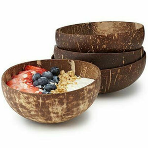 Coconut Shell Fruit Bowl